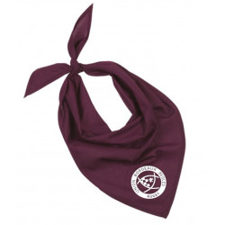 BANDANA - UBB